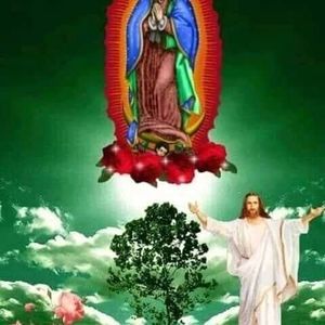 Meet your Posher, Roman